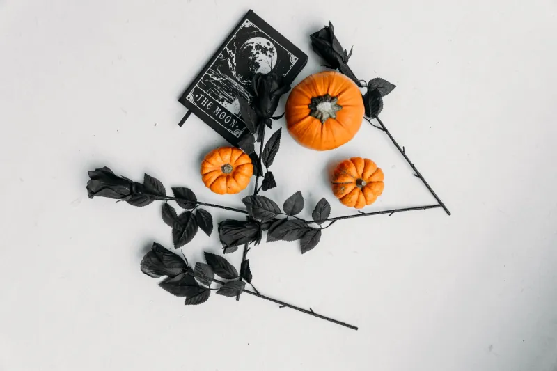 Selling Spells: How Silicon Valley Learned to Speak Witch and Why the Coven Isn't Buying It